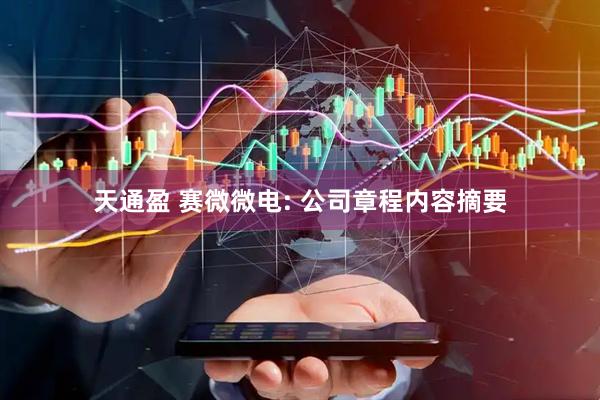 天通盈 赛微微电: 公司章程内容摘要