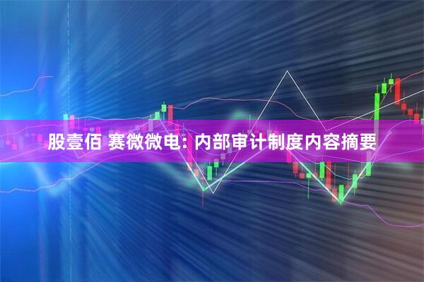 股壹佰 赛微微电: 内部审计制度内容摘要