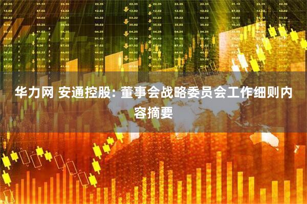 华力网 安通控股: 董事会战略委员会工作细则内容摘要