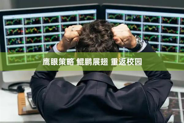 鹰眼策略 鲲鹏展翅 重返校园