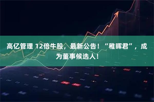 高亿管理 12倍牛股，最新公告！“稚晖君”，成为董事候选人！
